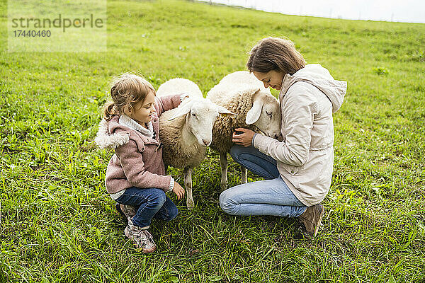 Lächelnde Mutter und Tochter streicheln Schafe auf dem Bauernhof