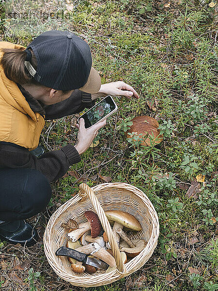 Woman photographing mushroom through mobile phone while crouching in forest