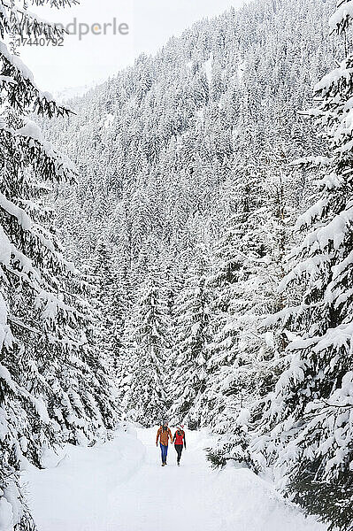 Mann und Frau gehen im Winter zwischen schneebedeckten Bäumen spazieren