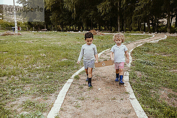 Jungen tragen einen recycelbaren Karton  während sie gemeinsam den Weg entlanggehen
