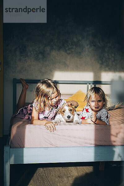 Jack Russell Terrier mit Mädchen zu Hause im Bett