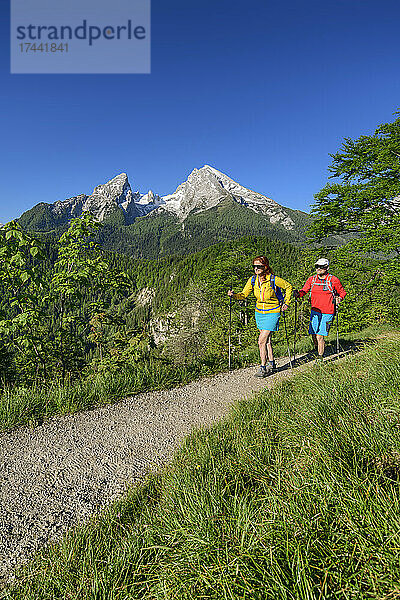 Männliche und weibliche Freunde wandern an sonnigen Tagen in den Chiemgauer Alpen