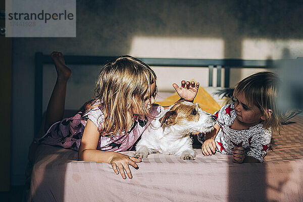 Blonde Mädchen schauen Jack Russell Terrier im Bett an