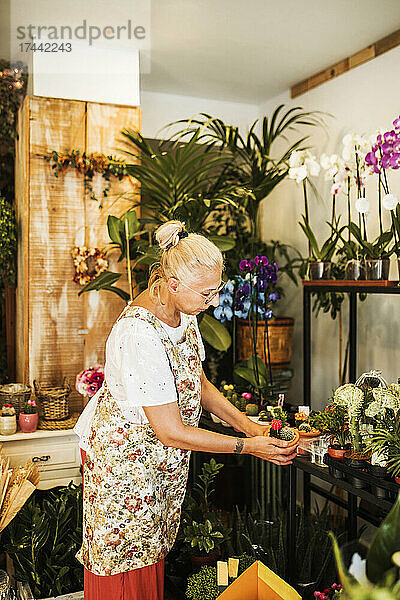 Blonde Floristin arrangiert Pflanzen auf dem Ausstellungsständer im Blumenladen