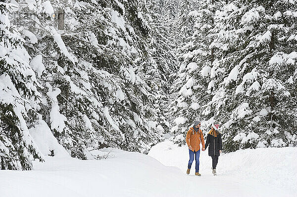 Mitte erwachsenes Paar spaziert im Winter bei Schnee zwischen Kiefern