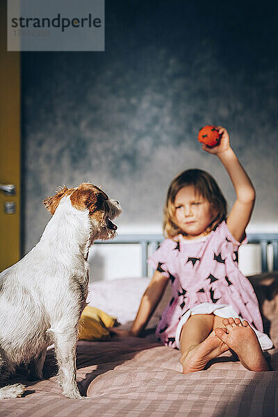 Mädchen mit Spielzeug spielt mit Hund im Schlafzimmer