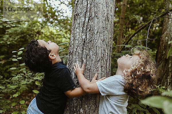 Jungen schauen nach oben  während sie einen Baum im Wald umarmen