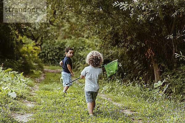 Jungen sammeln Birnen im Fischernetz  während sie im Wald auf Gras spazieren