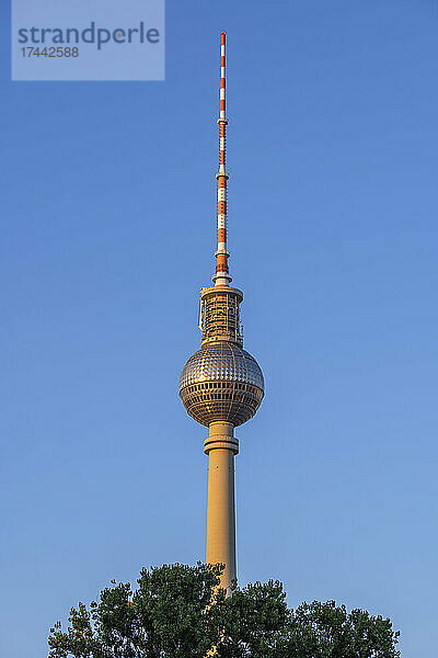 Deutschland  Berlin  Berliner Fernsehturm vor strahlend blauem Himmel