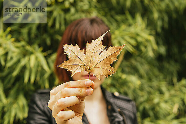 Frau hält Herbstblatt vor Gesicht