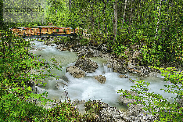 Idyllische Aufnahme einer Brücke über den Fluss im Wald