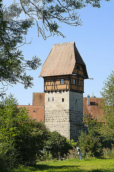 Deutschland  Bayern  Dinkelsbühl  Bauerlinturm im Sommer