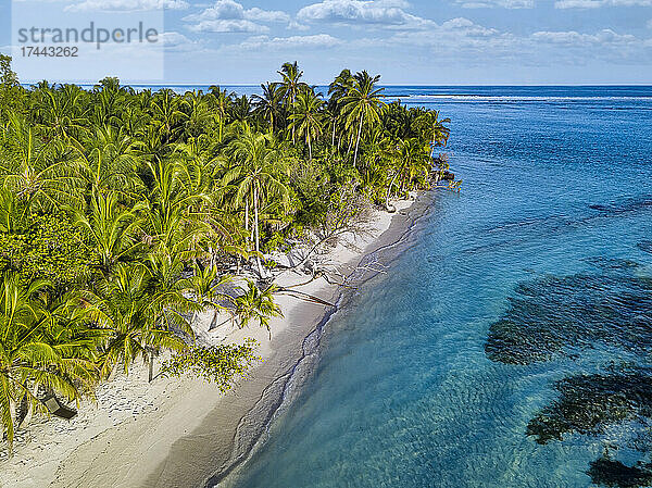 Malediven  Meemu Atoll  Veyvah  Luftaufnahme von Palmen und Sandstrand einer kleinen Insel im Indischen Ozean