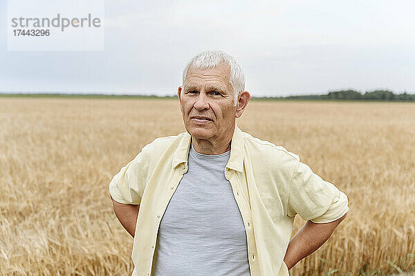 Älterer Mann mit den Händen hinter dem Rücken am Weizenfeld