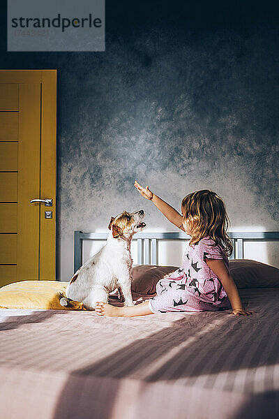 Mädchen spielt zu Hause mit Hund im Bett