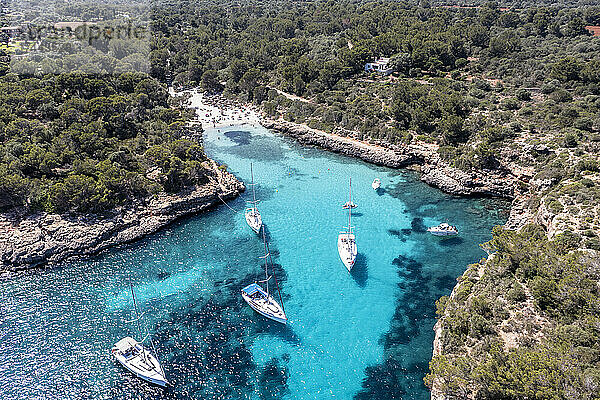 Spanien  Balearen  Mallorca  Luftaufnahme von Booten  die in der blauen Bucht von Cala Sa Nau schwimmen