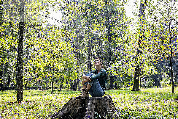 Nachdenkliche Frau sitzt in fötaler Position auf einem Baumstumpf
