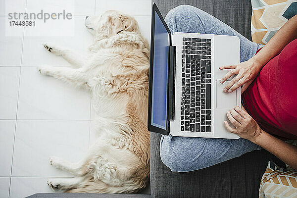 Frau benutzt Laptop auf Sofa  während Hund sich im Wohnzimmer entspannt