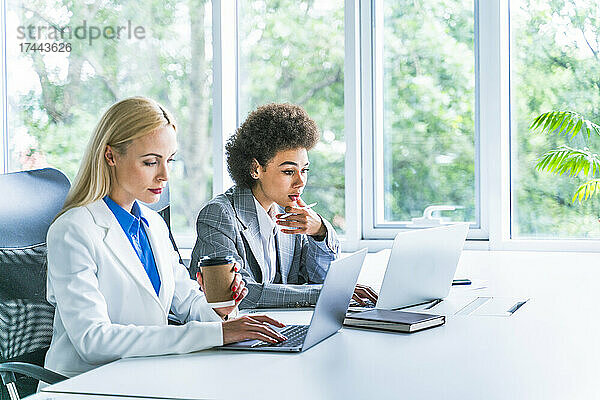 Weibliche Kollegen nutzen Laptops am Arbeitsplatz