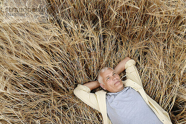 Älterer Mann mit den Händen hinter dem Kopf ruht auf Weizenfeld