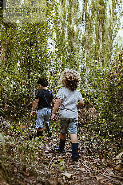 Sorglose Jungen gehen gemeinsam im Wald spazieren