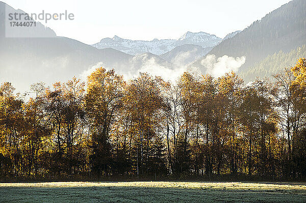 Ennstal im nebligen Herbstmorgen