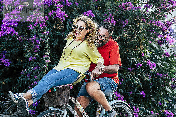 Glücklicher reifer Mann fährt Fahrrad mit Freundin  die auf einem Korb im Park sitzt