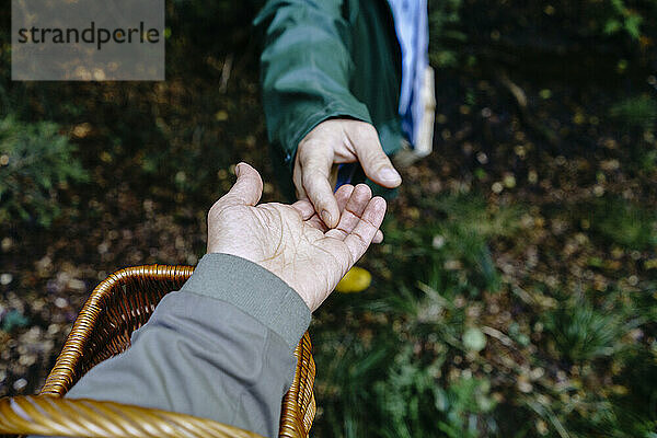 Mann mit Korb hält die Hand einer Freundin im Wald