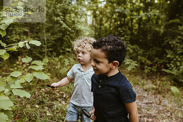 Jungen mit Lupe stehen neben Pflanzen im Wald