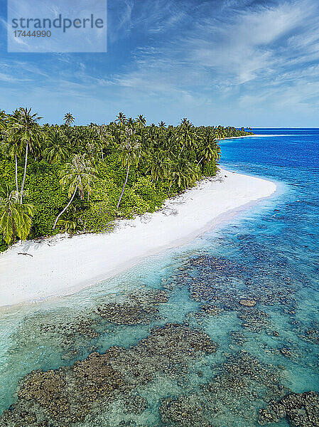 Malediven  Kolhumadulu Atoll  Luftaufnahme der bewaldeten Küste der Insel Kanimeedhoo