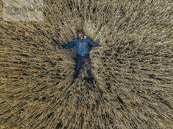 Carefree man lying on rye field