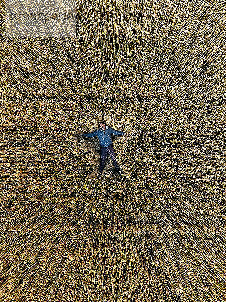 Man relaxing while lying on rye field
