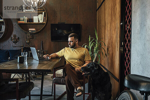 Seriöser männlicher Freiberufler nutzt Laptop und Hund im Heimbüro