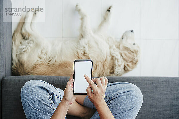 Frau benutzt Smartphone auf Sofa  während Hund sich zu Hause entspannt