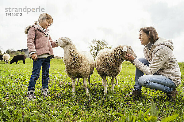 Lächelnde Mutter und Tochter mit Schafen auf dem Feld