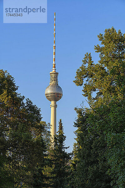 Deutschland  Berlin  Berliner Fernsehturm mit Bäumen im Vordergrund
