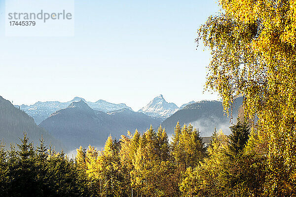 Ennstal im nebligen Herbstmorgen