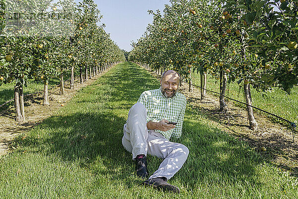 Lächelnder reifer Mann benutzt Mobiltelefon im Apfelgarten