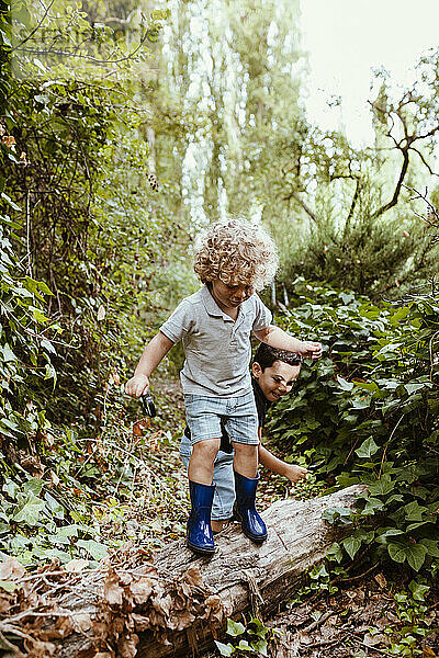 Junge spielt mit männlichem Freund  während er auf einem Baumstamm im Wald steht
