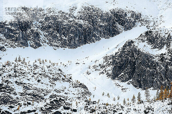 Herbstlich gefärbte Bäume im schneebedeckten Steinkar-Gebirge