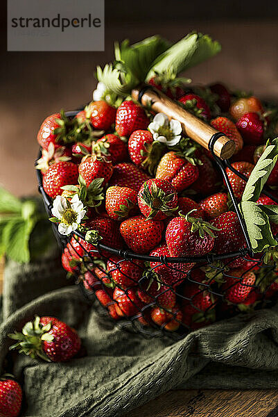 Drahtkorb mit Erdbeeren