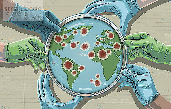Hände halten Petrischale mit Zellkultur auf Weltkarte