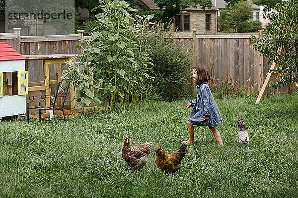 Ein kleines barfüßiges Mädchen geht mit einer Herde Hinterhofhühner durch den Garten