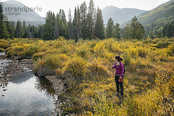 Frau steht in der Nähe eines Baches in der Eagles Nest Wilderness  Colorado