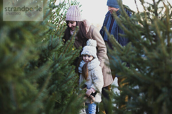 Eine glückliche Familie wählt den Weihnachtsbaum für die Abendfeier
