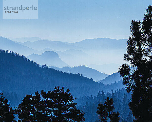 Blaue  dunstige Berge verschwinden in der Ferne  Sequoia-Nationalpark