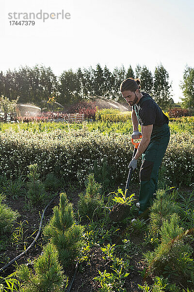 Männlicher Gärtner pflanzt Pflanzen auf dem Bauernhof um