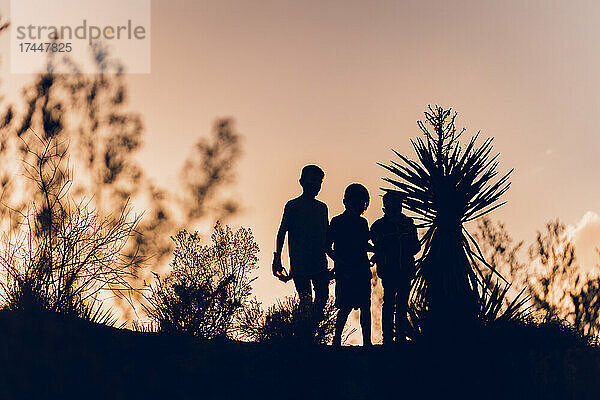 Silhouette von 3 Jungen in der Wüste bei Sonnenuntergang