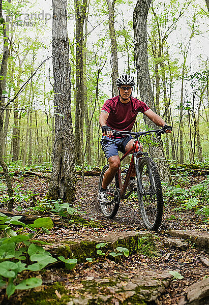 Mann fährt an einem Sommertag mit dem Mountainbike durch Waldwege.