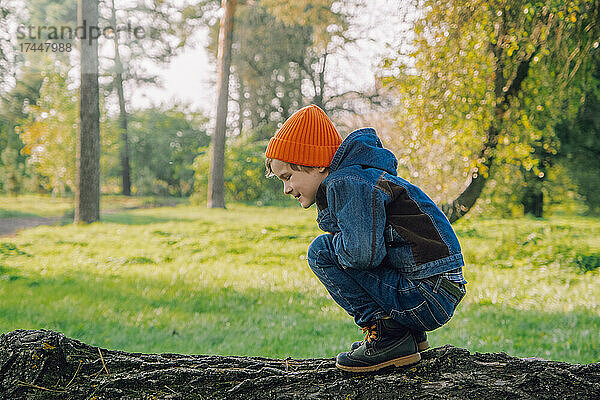 Junge wandert im Herbstwald. Konzepte von Abenteuer  Tourismus für Kinder.